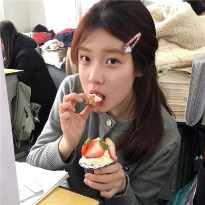 科搜研之女第24季